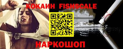 крисы Гатчина