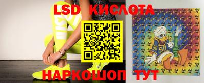 гидропоника Гай