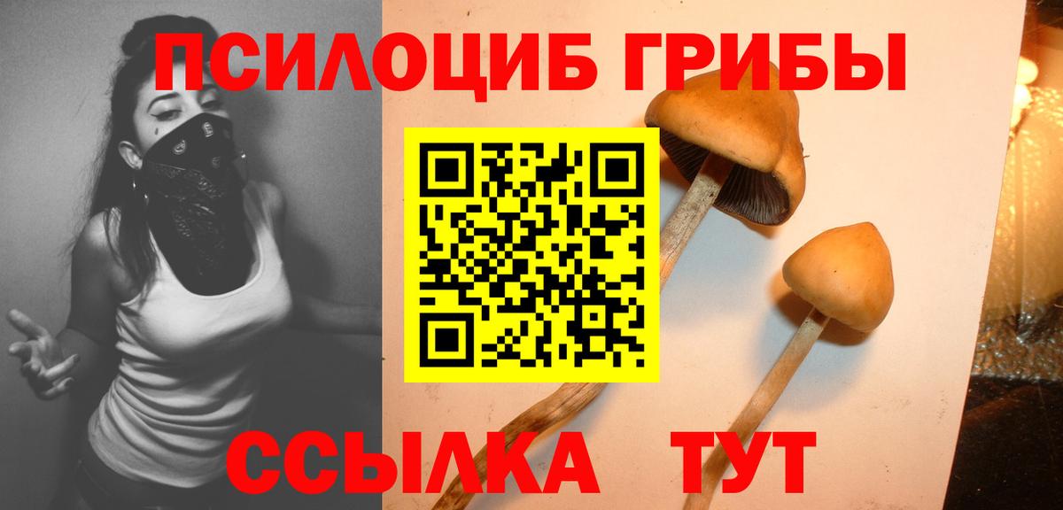 Малоярославец  Псилоцибиновые грибы MAGIC MUSHROOMS  Галлюциногенные грибы мухоморы  Вход с VPN 