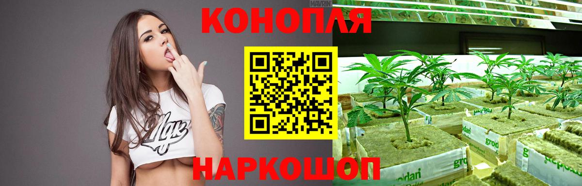 Бошки марихуана семена  Вход с VPN  Конопля THC 21%  Малоярославец  Каннабис сатива 